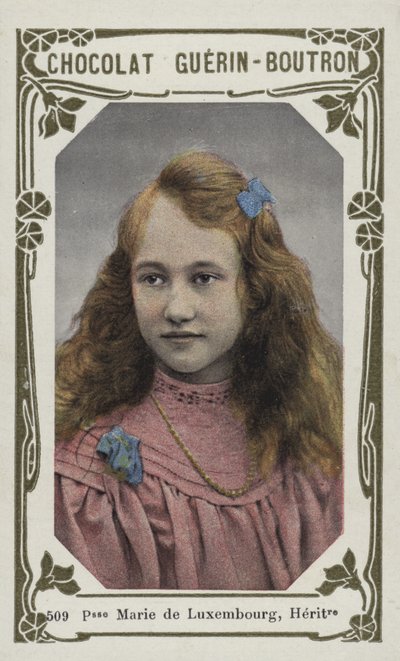 Prinzessin Marie von Luxemburg, Erbin von French School