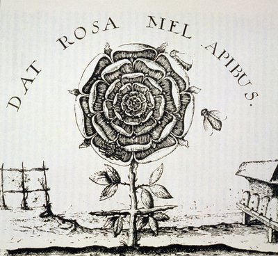 Rosenkreuzer-Allegorie, Kopie eines Kupferstichs von Johann Theodore de Bry (ca. 1598), verwendet in einer Geschichte der Magie, veröffentlicht Ende des 19. Jahrhunderts von French School