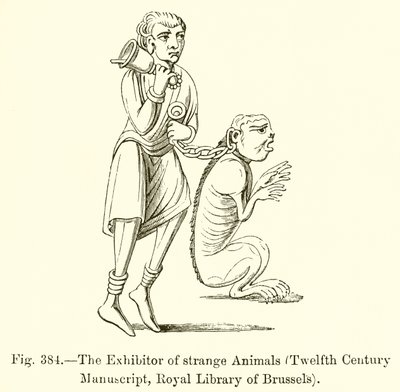 Der Aussteller seltsamer Tiere von French School