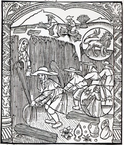 Der Monat August, aus einem Hirtenkalender, 1496 von French School