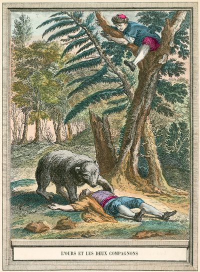 Der Bär und die zwei Gefährten von French School