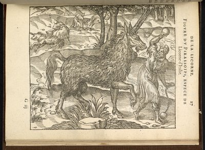 Die Jagd auf ein zweihörniges Einhorn (ein Pirassoipi.) aus 