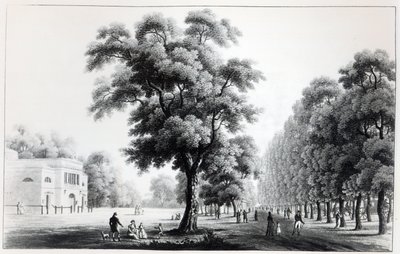 Die Hauptallee im Prater, Wien, 1821 von French School