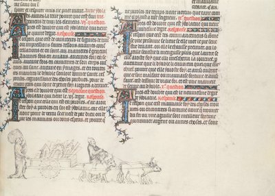 Transport von Habseligkeiten in einem von Ochsen gezogenen Wagen, unvollendete Miniatur aus der Bibel von Jean de Sy, ca. 1355 von French School