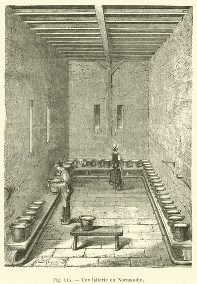 Eine Molkerei in der Normandie von French School