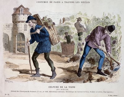 Weinkultur im 15. Jahrhundert - in Costume de Paris durch die Jahrhunderte von French School