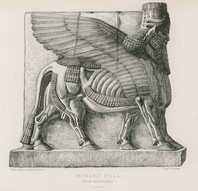 Geflügelter Stier, aus Khorsabad, Louvre von French School