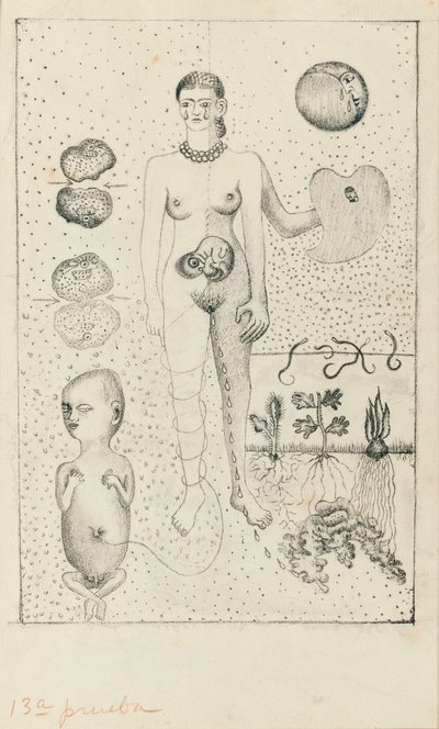 Frida und die Fehlgeburt von Frida Kahlo
