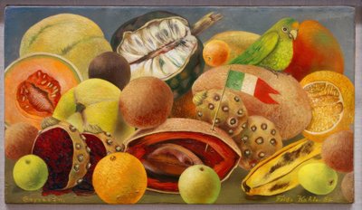 Stillleben mit Papagei und Fahne von Frida Kahlo