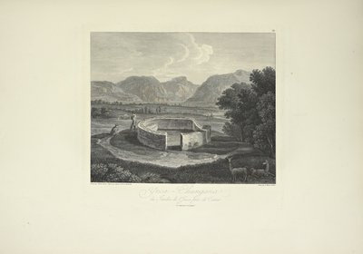 Ynca-Chungana, aus dem Garten des Inka bei Canar, gezeichnet von Gmelin, graviert von Morel, Illustration aus 
