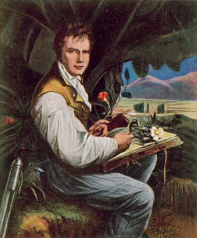 Alexander von Humboldt, preußischer Geograph, Naturforscher und Entdecker von Friedrich Georg (after) Weitsch