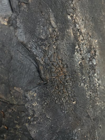 Tief gebrochene Textur von Gabriela Aleksandra Szuba