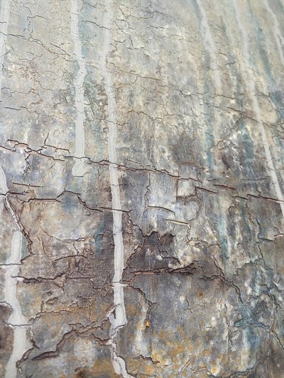 Verwitterte Grunge-Textur von Gabriela Aleksandra Szuba