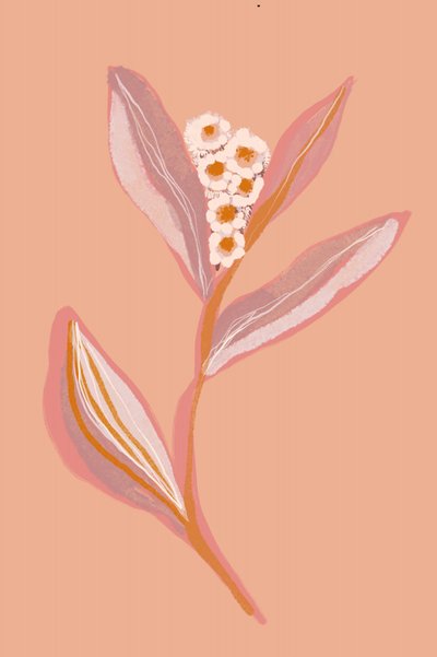 Pfirsichblüte von Gemma Bardot