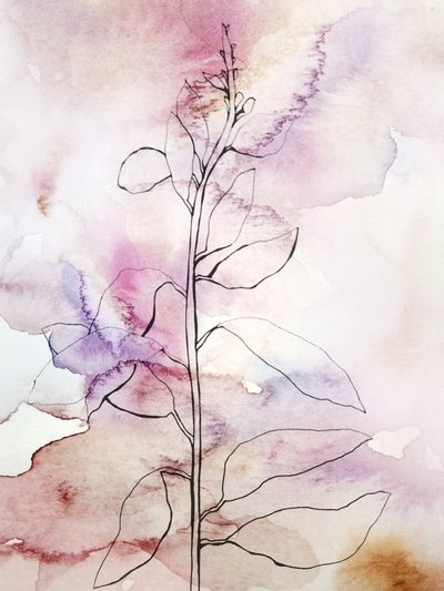Rosa Aquarell-Botanisch von Gemma Bardot
