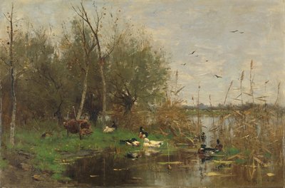 Enten neben einem Entenhaus an einem Graben von Geo Poggenbeek