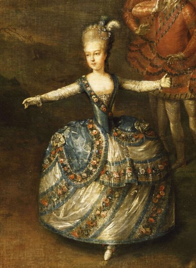 Fest zur Feier der Hochzeit von Kaiser Joseph II. mit Prinzessin Marie-Josèphe von Bayern von Johann Georg Weikert