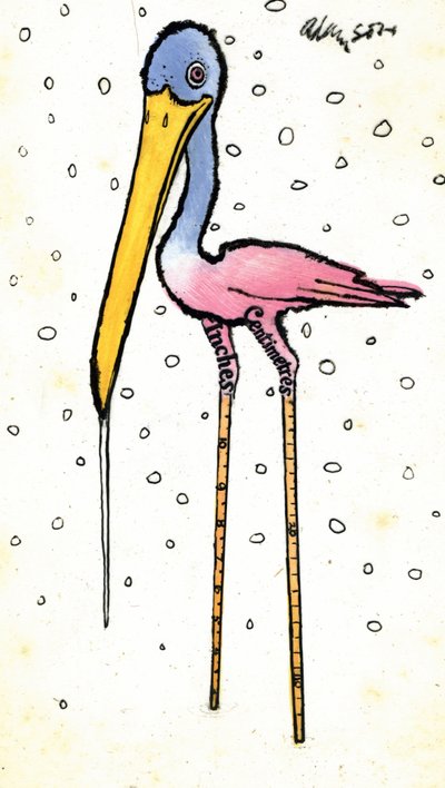 Storch mit kalibrierten Schenkeln von George Adamson