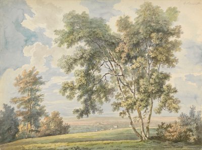 Landschaft mit Bäumen und Schafen (Parklandschaft mit Schafen) von George Barret