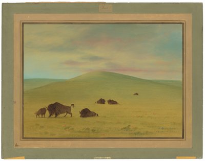 Amerikanische Weide - Prärien des Platte von George Catlin