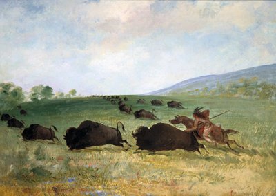 Ein Osage-Indianer, der einen Büffel lanzt von George Catlin