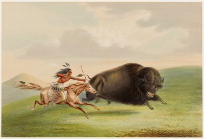 Büffeljagd, Verfolgung von George Catlin