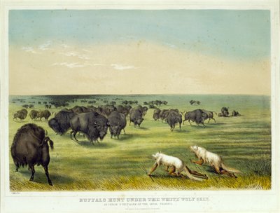 Büffeljagd unter der weißen Wolfshaut von George Catlin