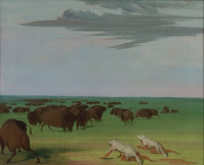 Büffeljagd unter der Wolfshautmaske, 1832-1833 von George Catlin
