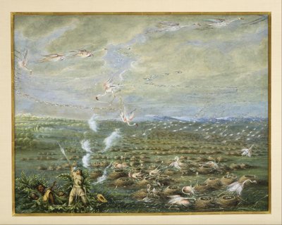 Flamingo-Jagd in Südamerika von George Catlin