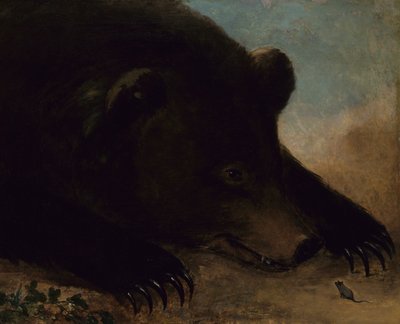 Porträts eines Grizzlybären und einer Maus, Lebensgröße, 1846-1848 von George Catlin