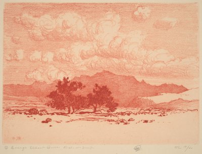 Palo Verde Bäume von George Elbert Burr