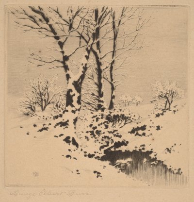Schnee von George Elbert Burr