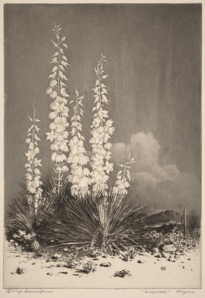 von George Elbert Burr