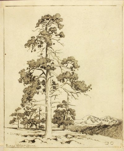 Ohne Titel (Übertragungszeichnung für einen Druck) von George Elbert Burr