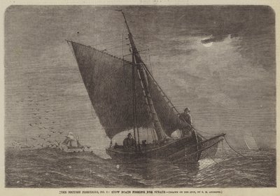 Die britischen Fischereien, Nr. 3, Stow-Boote beim Spratfischen von George Henry Andrews