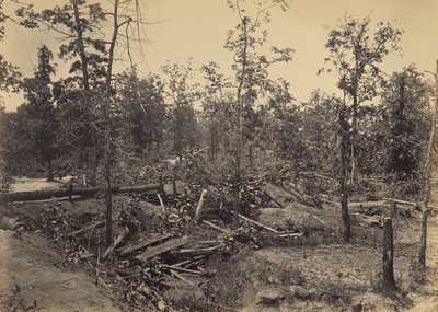 Schlachtfeld von Atlanta, Georgia, 22. Juli 1864, Nr. 1 von George N. Barnard