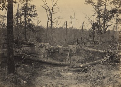 Schlachtfeld der New Hope Church, Georgia, Nr. 2 von George N. Barnard