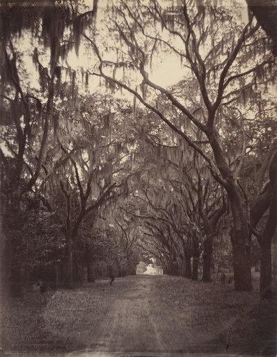 Bonaventure-Friedhof, vier Meilen von Savannah von George N. Barnard