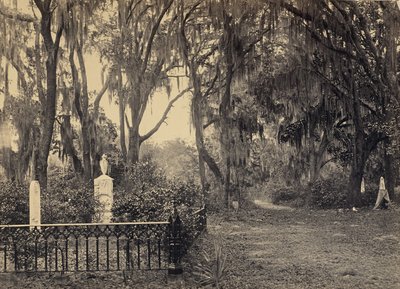 [Buen-Ventura Savannah, Georgia] von George N. Barnard