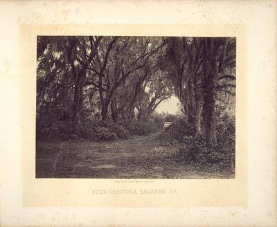 Buen-Ventura Savannah, Georgia von George N. Barnard