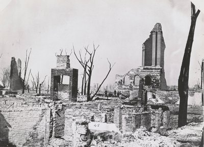 Ruinen des Gebäudes der Chicago Historical Society nach dem großen Chicago-Feuer, 1871 von George N. Barnard
