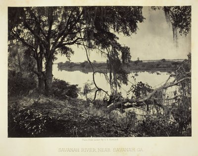 Savannah River, nahe Savannah, GA, 1866 von George N. Barnard