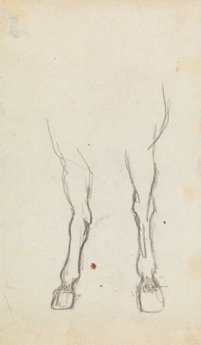 Studie der Vorderbeine eines Pferdes von George Romney
