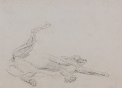 Vergleichende anatomische Darstellung der Struktur des menschlichen Körpers mit der eines Tigers und eines gewöhnlichen Huhns: Tigerkörper, liegend, ventral betrachtet von George Stubbs