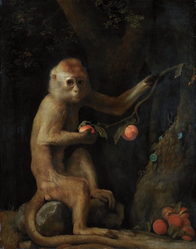 Ein Affe von George Stubbs