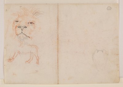Löwenkopf, verso, 18. oder 19. Jahrhundert von George Stubbs
