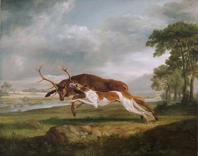 Hund hetzt einen Hirsch von George Stubbs