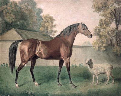 Dungannon von George Townley Stubbs