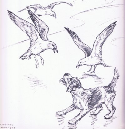 Rosie vertreibt die Möwen, aus Mudlarks, veröffentlicht von Collins von George Vernon Stokes