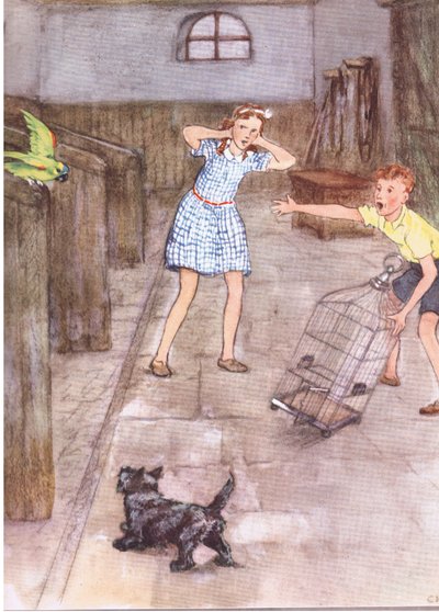 Der Papagei begann, unhöfliche Dinge zu sagen, aus Pets Limited veröffentlicht von Collins von George Vernon Stokes